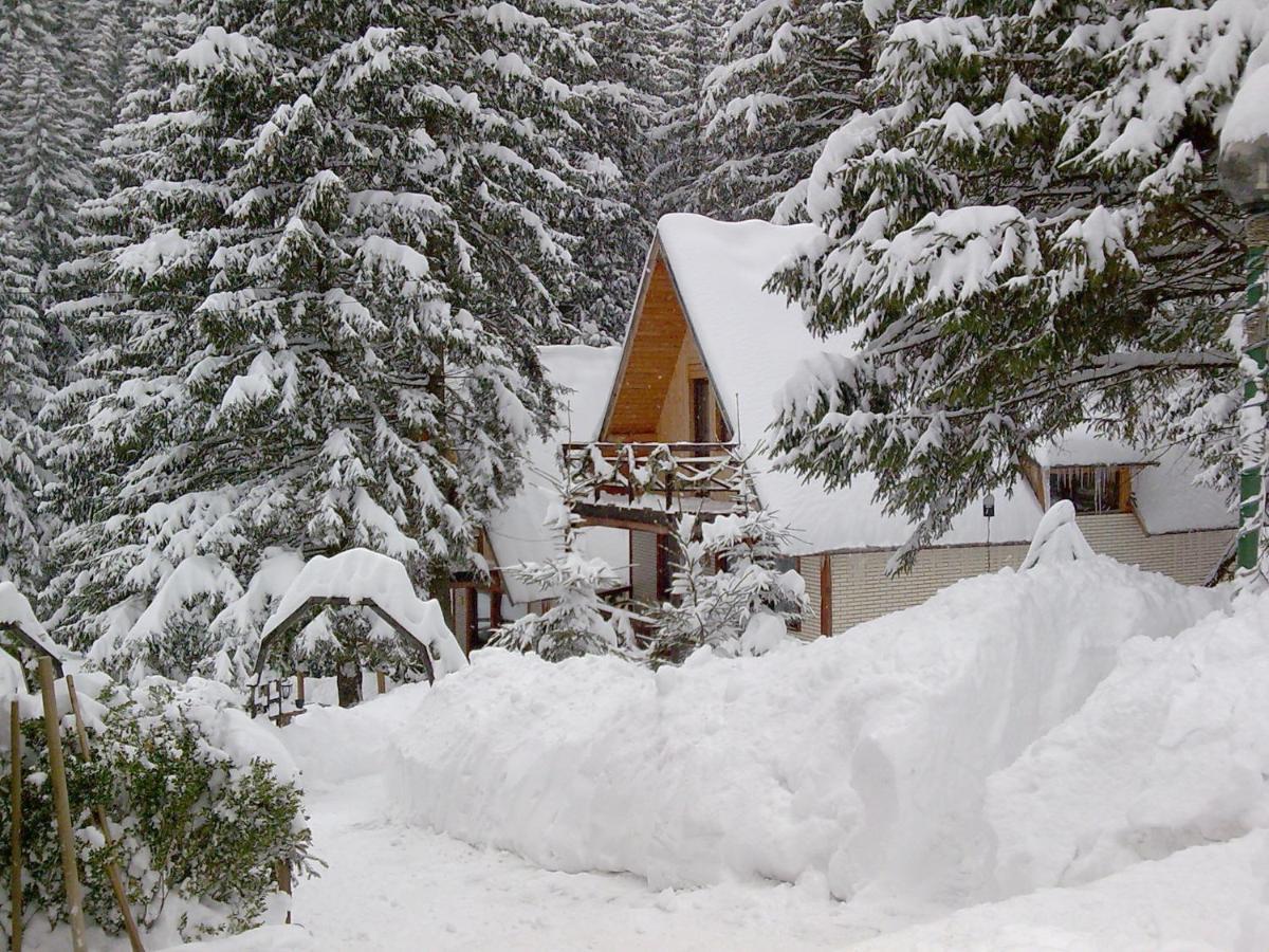 Nira Alpina Lodge&Apart Poiana Braşov Exterior foto