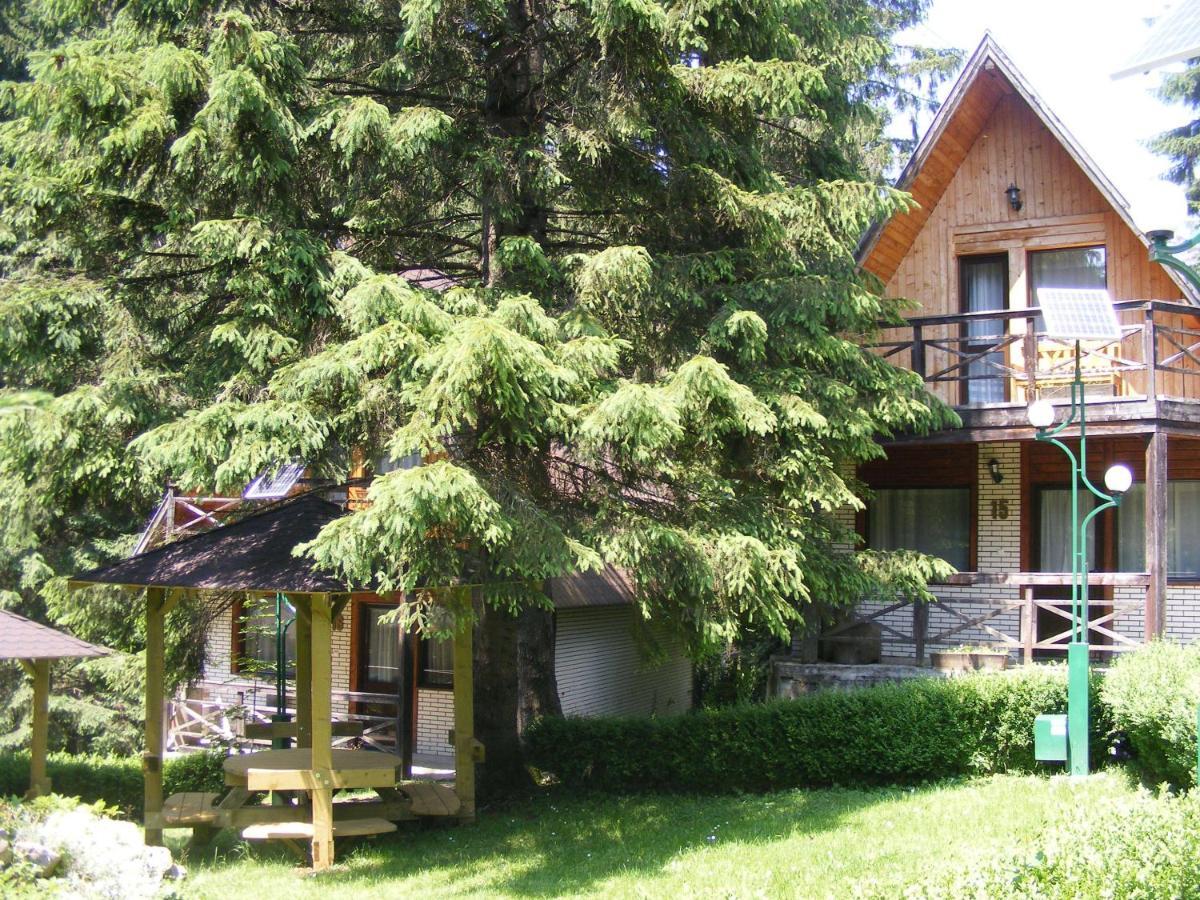 Nira Alpina Lodge&Apart Poiana Braşov Cameră foto